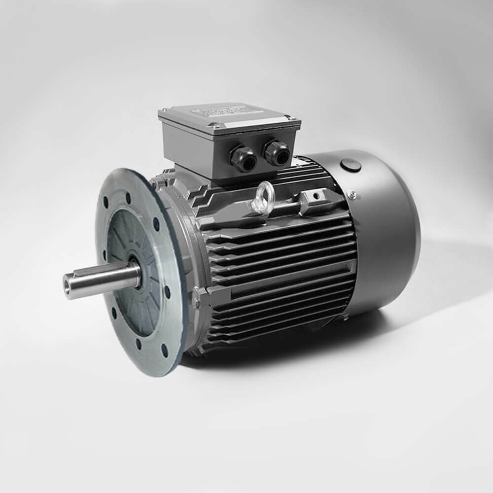 37 kW Motor (50 HP) 415 V Three Phase Cast Iron Motor - TechTop