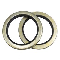 Champion CDW16 Dowty Seal (Bonded) Washer Suits 22mm - 25/Pack