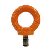 Austlift Eye Bolt G80