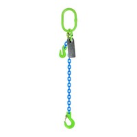 Austlift Grade 100 Chain Sling 1Leg W/ Clevis Grab Shortner & Sling Hook