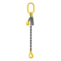 Austlift Grade 80 Chainsling 1Leg W/ Clevis Grab Shortner & Self Locking Hook