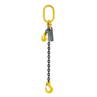 Austlift Grade 80 Chainsling 1Leg W/ Clevis Grab Shortner & Sling Hook