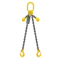 Austlift Grade 80 Chain Sling 2Leg W/ Clevis Grab Shortner & Sling Hook