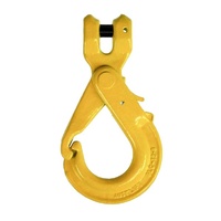 Austlift G80 Clevis Grip Self Locking Hook NC Type