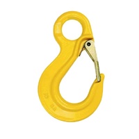 Austlift G80 Eye Sling Hook C/W Safety Latch SE Type