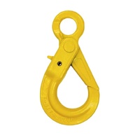 Austlift G80 LE Type Eye Self Locking Hook