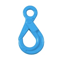 Yoke G100 Eye Self Locking Hook