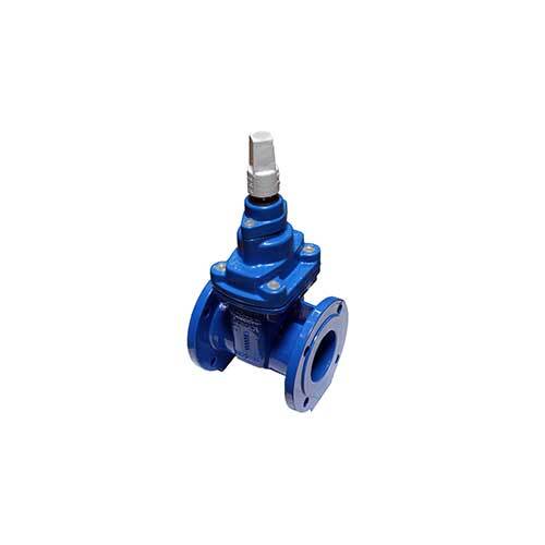 AAP 4" Resilient Gate Valve ACC w/ Spindle Cap Table-C VRSACC100C