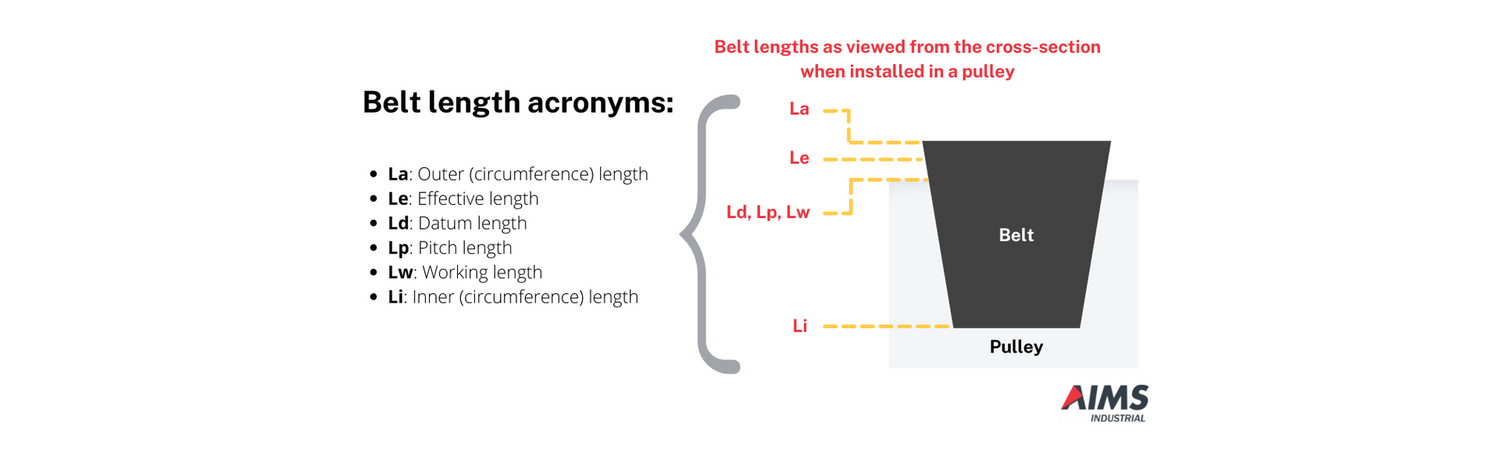 Belt Length Acronyms Made Easy