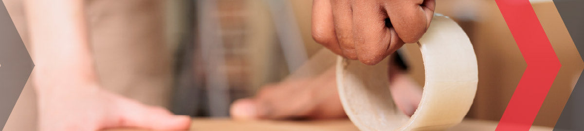 Bear power tools and workshop solutions – AIMS Industrial