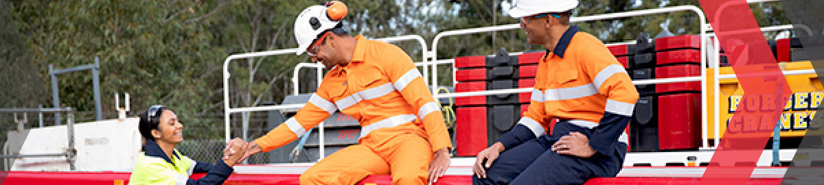 Boomerang cleaning and household products – AIMS Industrial