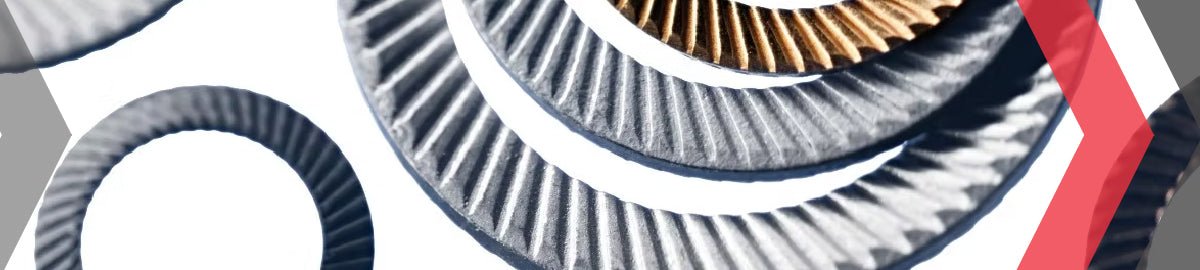 Schnorr - AIMS Industrial Supplies