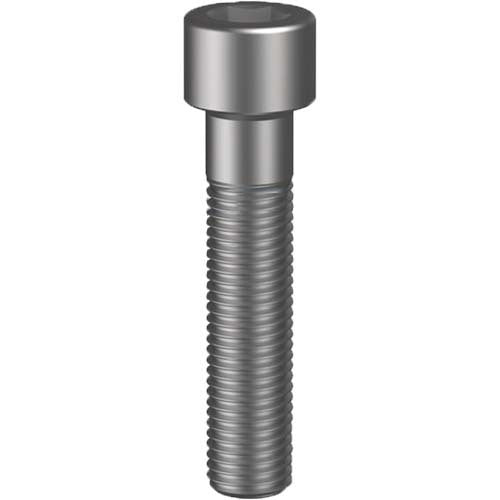 Socket Head Cap Screw