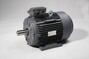 TechTop 0.25kW 1/3 HP Motor 415V 3 Phase 6 Pole, 850 RPM, Foot & Flange TA6A025BTAI
