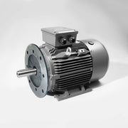 415V Three Phase Cast Iron Motor (TC4D2006TCI)