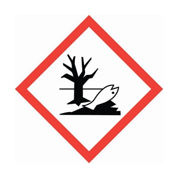 Brady GHS Pictogram Label - Health Risk & Environmental Risk