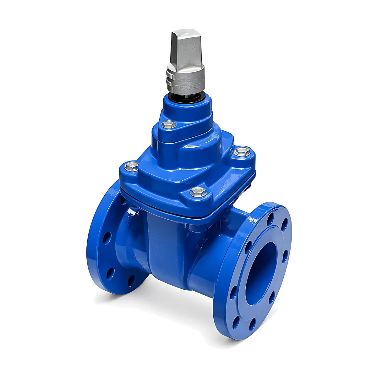 AAP Resilient Seat Gate Valve, Anticlockwise, Table E