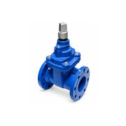 AAP Resilient Seat Gate Valve, Anticlockwise, Table E I AIMS Industrial