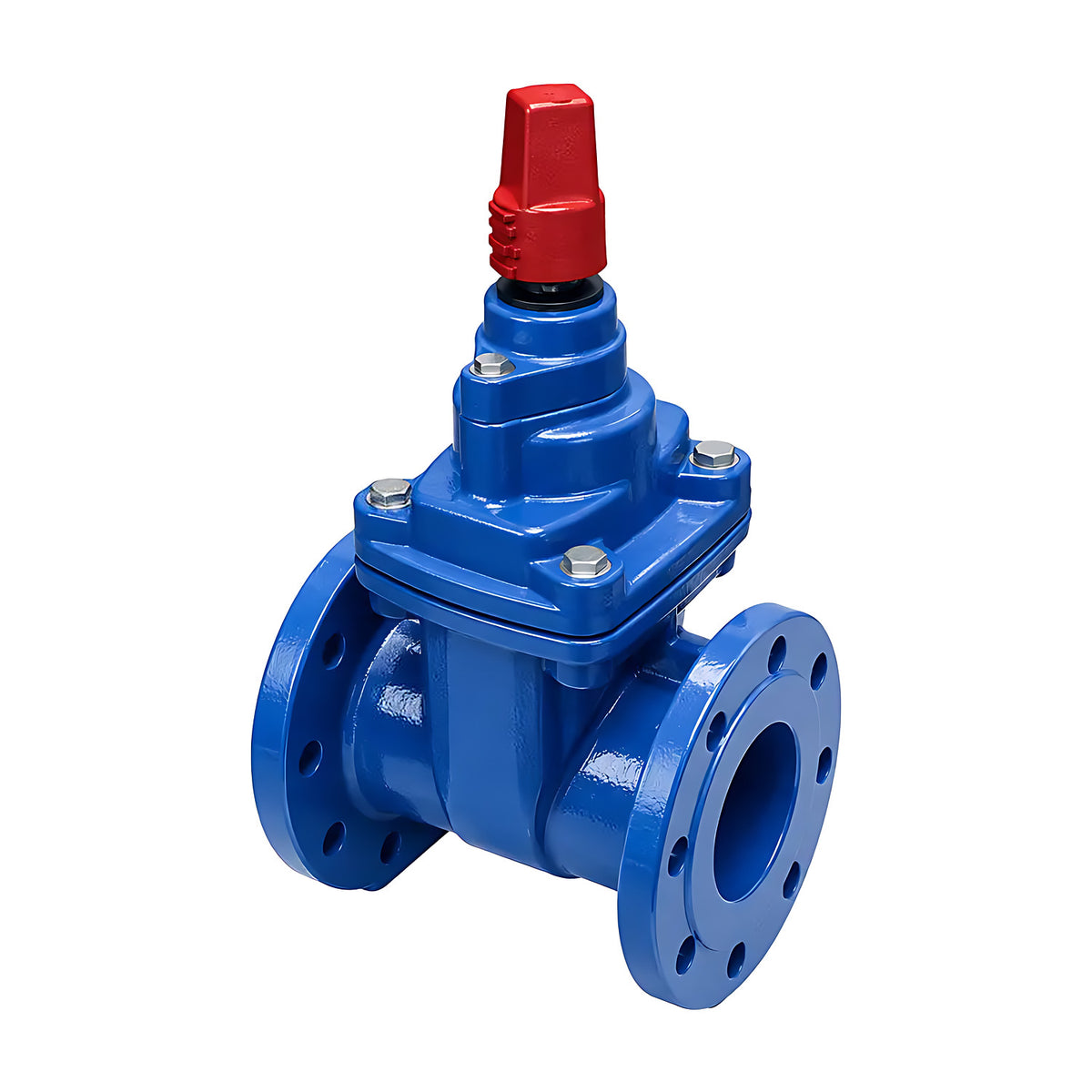 AAP Resilient Seat Gate Valve, Clockwise, Table E