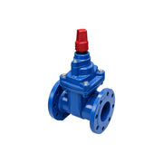 AAP Resilient Seat Gate Valve, Clockwise, Table E I AIMS Industrial