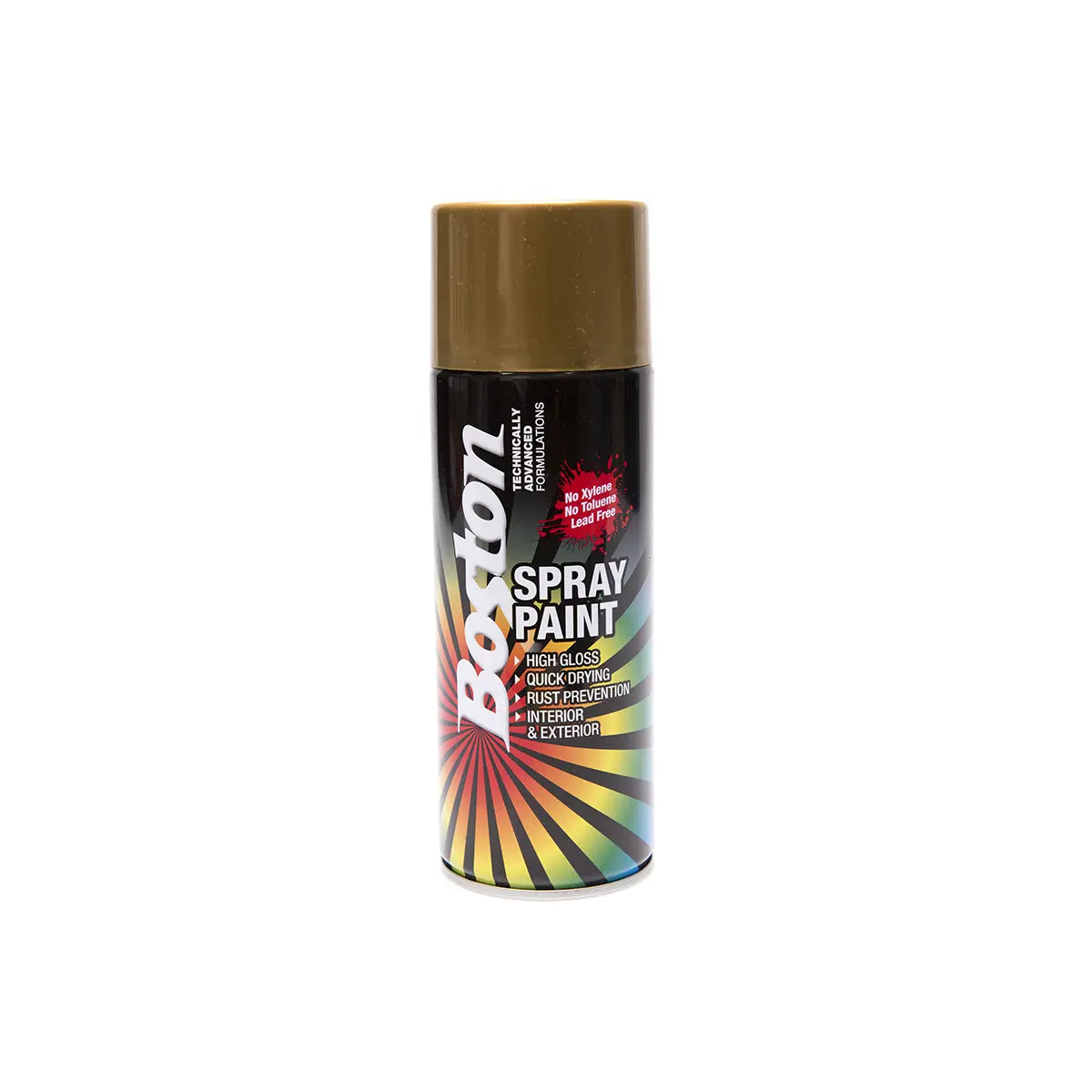 Boston Aerosol Paint 250g