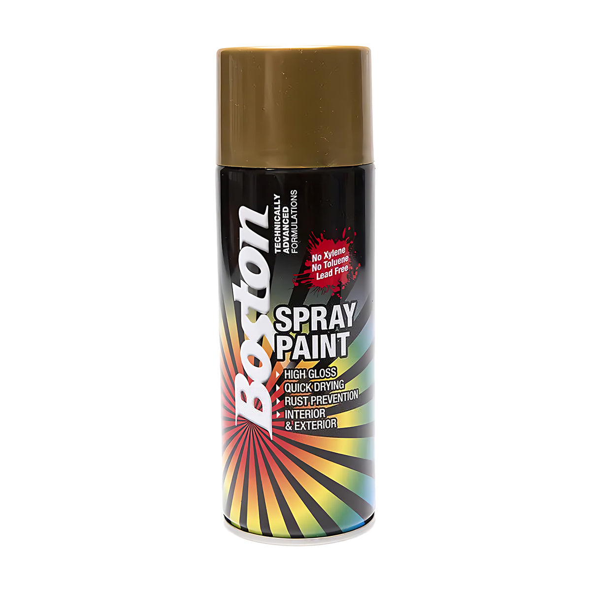 Boston Aerosol Paint 250g