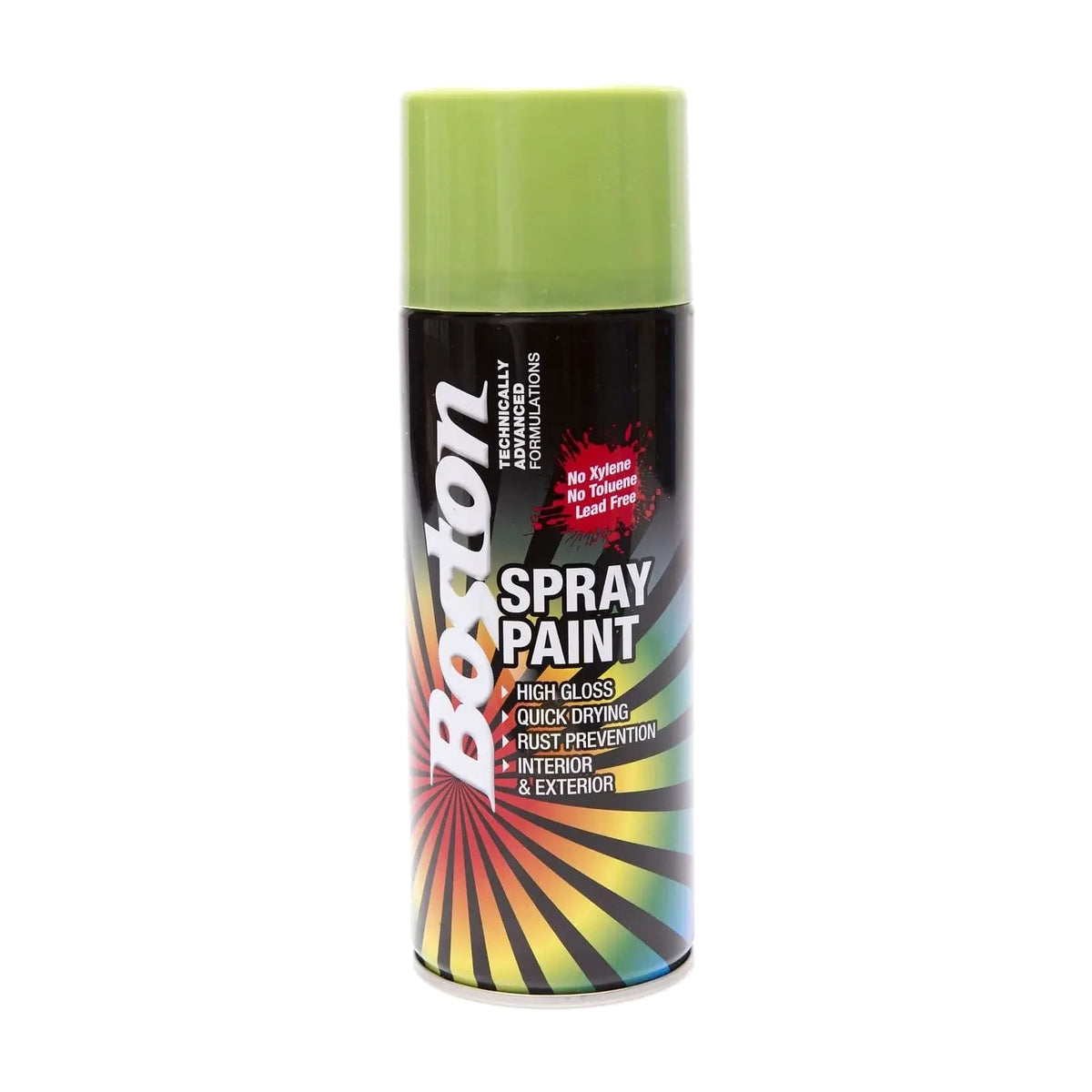 Boston Aerosol Paint 250g