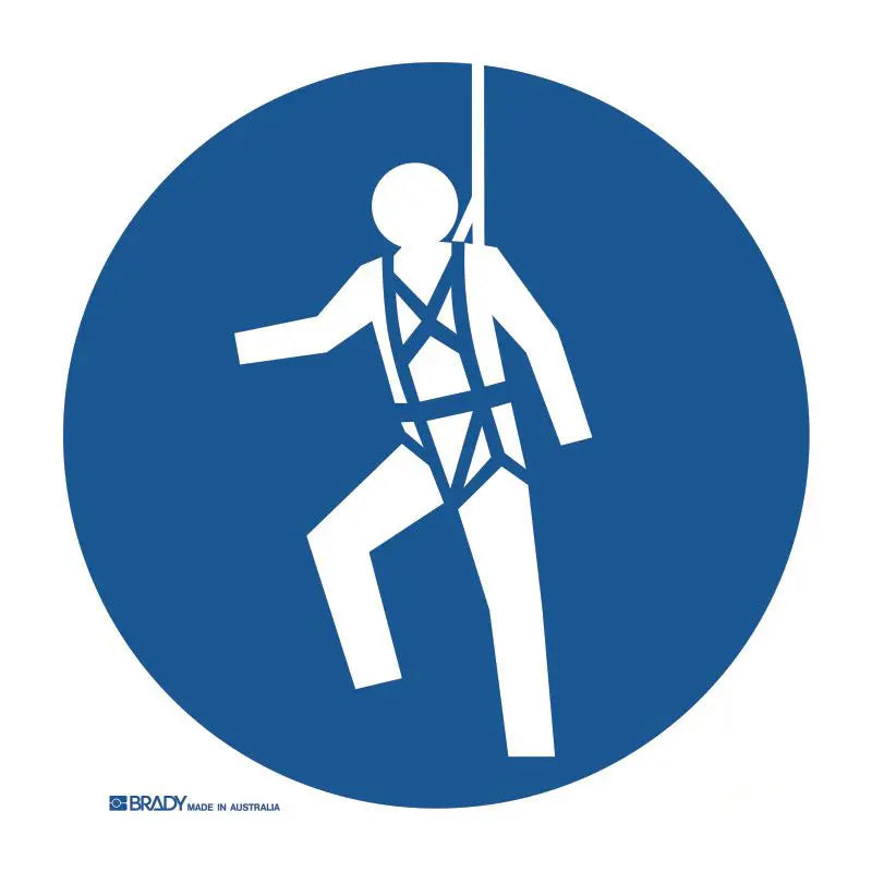 Brady Mandatory Pictogram