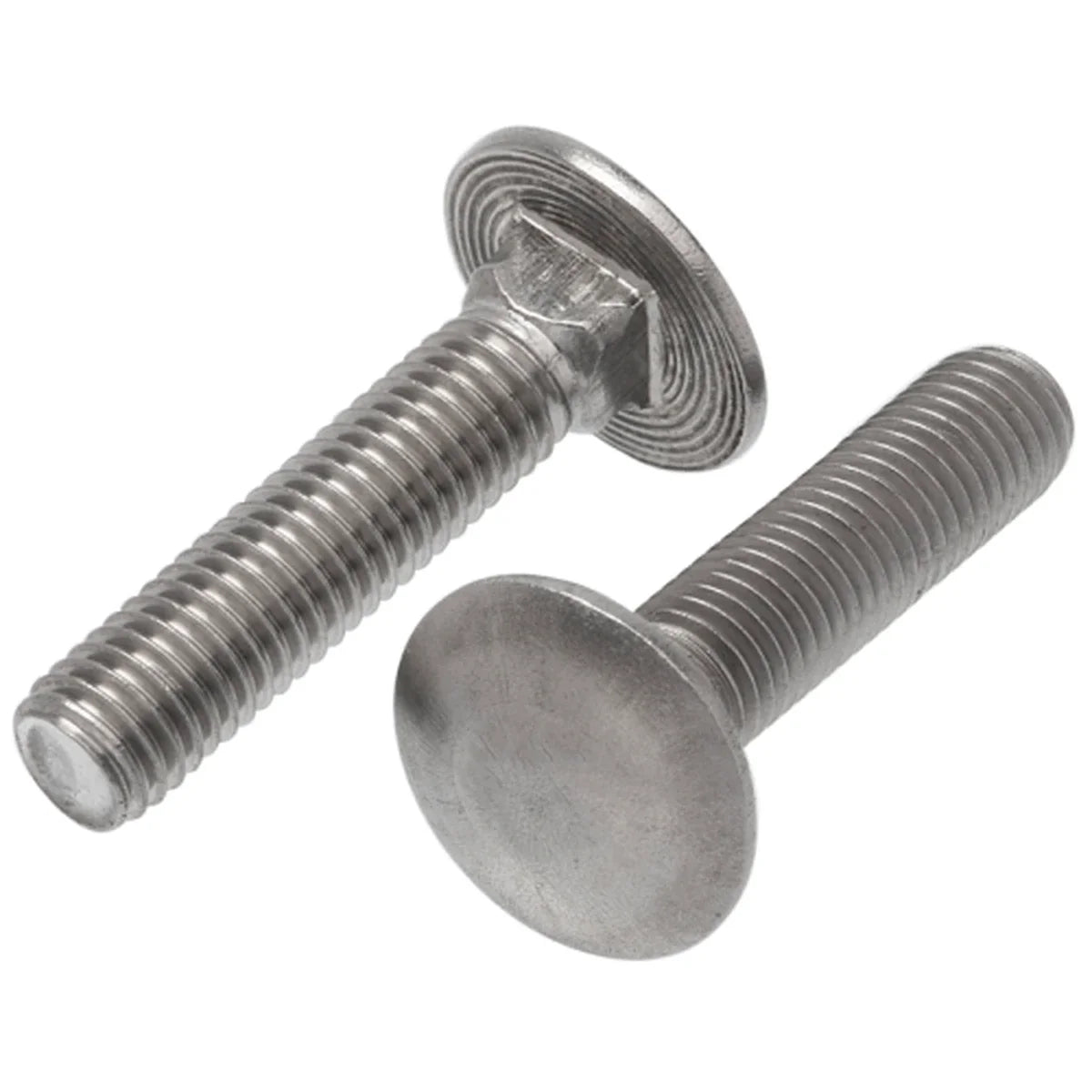 Cup Head Sq Neck Bolt A4 (316) M8 x 150mm