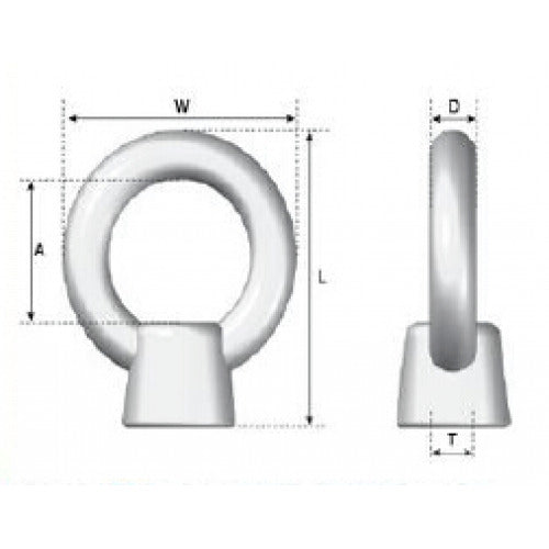 JIS Collared Eye Nut - 316 Stainless Steel