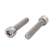 Torx Socket Cap Screw A2 (304)