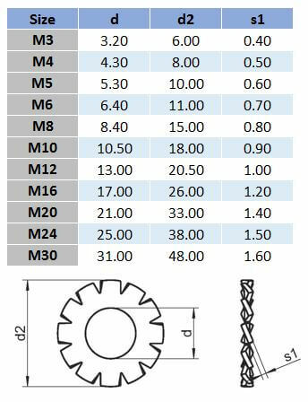 Metric External Tooth Lock Washer - 304 Stainless Steel