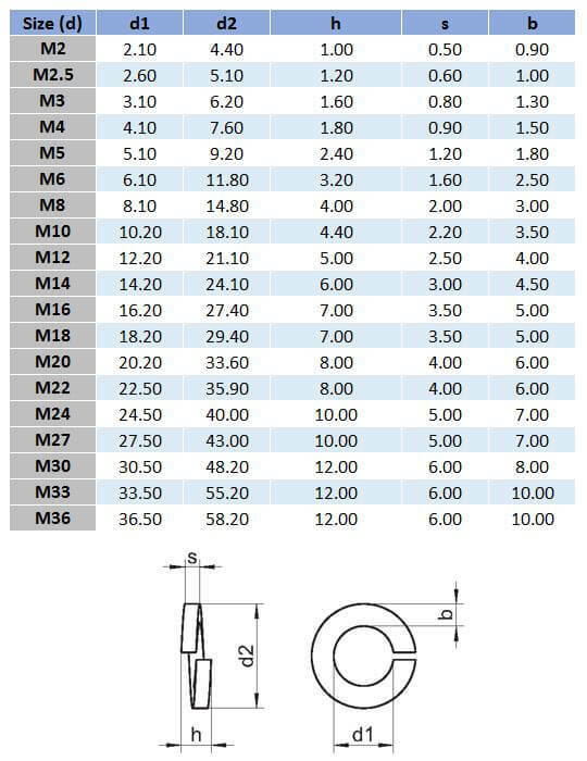 Metric Spring Washer - 304 Stainless Steel