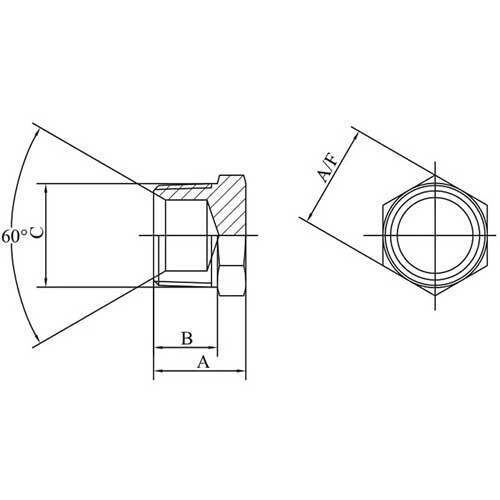 AAP 3/4" Hydraulic Plug BSPT HP12B3