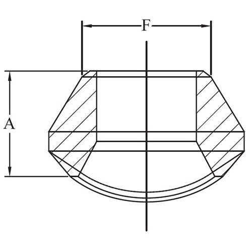 AAP Branch Outlet w/ Butt Weld End2