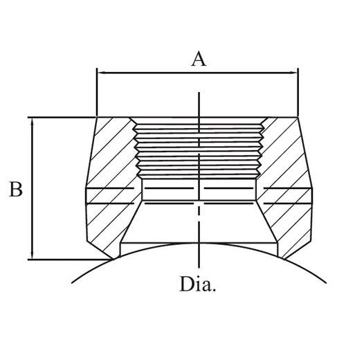 AAP Branch Outlet w/ Threaded End2