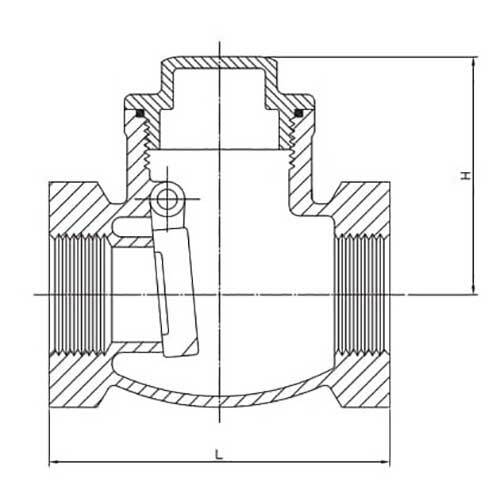 AAP Brass Swing Check Valve - AIMS Industrial Supplies