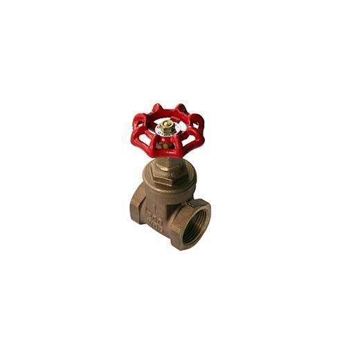 AAP Bronze Gate Valve Screwed - AIMS Industrial Supplies