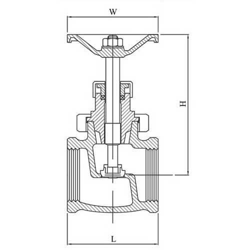 AAP Bronze Globe Valve with Stainless Steel Trim2