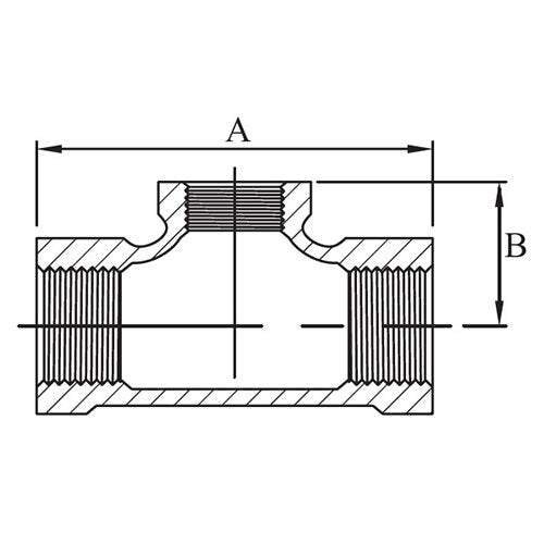 AAP Cap Reducing Galvanised Malleable 2