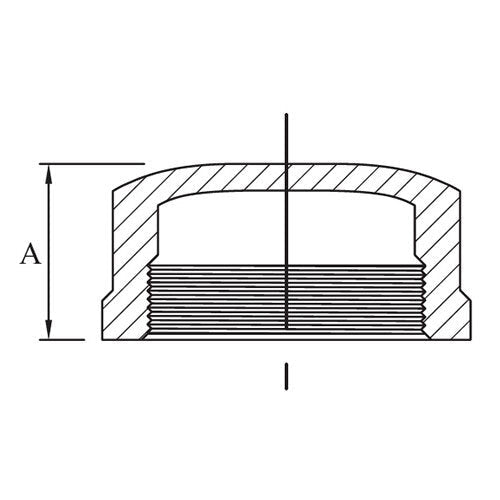 AAP Cap - Stainless Steel 316 - AIMS Industrial Supplies