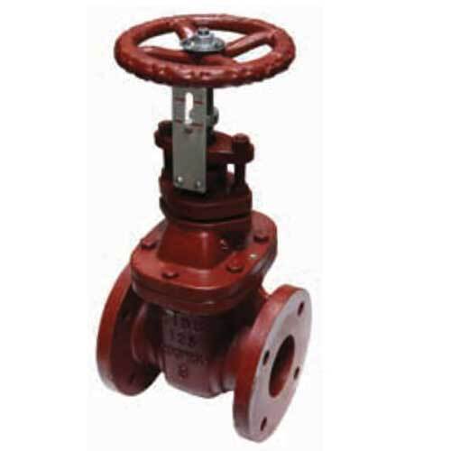 AAP Cast Iron Gate Valve Non - Rising Stem Table - E - AIMS Industrial Supplies