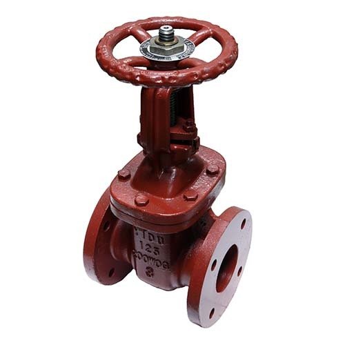 AAP Cast Iron Wedge Gate Valve - Rising Stem Table - E - AIMS Industrial Supplies