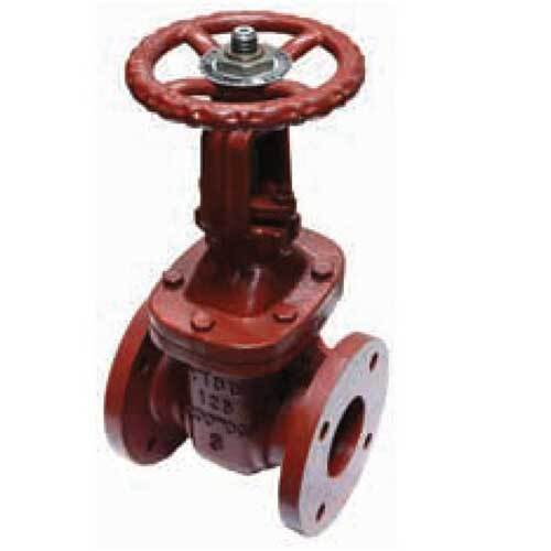 AAP Cast Iron Wedge Gate Valve - Rising Stem Table - E - AIMS Industrial Supplies