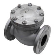 AAP Cast Steel Flanged Check Valve ANSI - 150 - AIMS Industrial Supplies