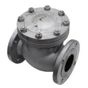 AAP Cast Steel Flanged Check Valve ANSI - 300 - AIMS Industrial Supplies