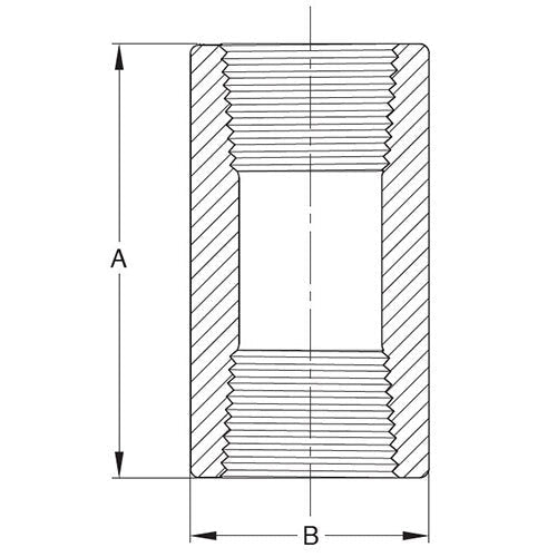 AAP Coupling Threaded - NPT Stainless 316 - AIMS Industrial Supplies
