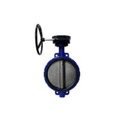 AAP EPDM Wafer Butterfly Valve w/ SS Disc a& G/O - AIMS Industrial Supplies