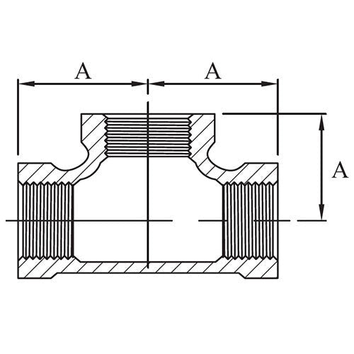 AAP Equal Tee - BSP 316 Stainless Steel - AIMS Industrial Supplies