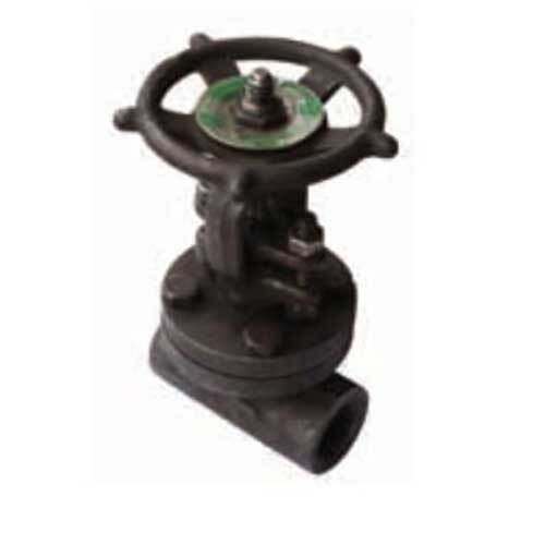 AAP Forged Steel Gate Valve NPT Class 800 - AIMS Industrial Supplies